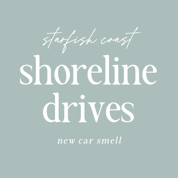 Car Diffuser Refill