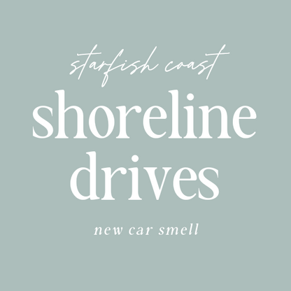 Car Diffuser Refill